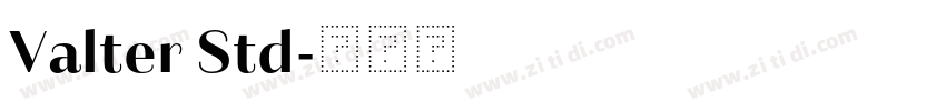Valter Std字体转换